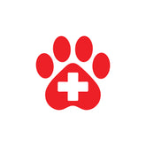 Bold Lettering Doctor on Board Decal