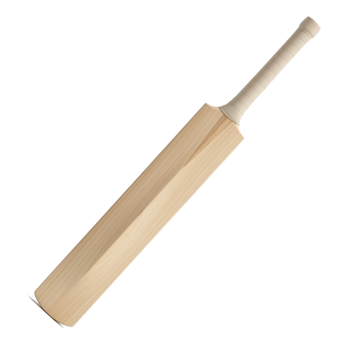 Customized Cricket bat for players