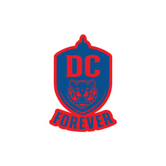 DC Forever, Everywhere