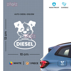 Durable Diesel Tag for Fuel Protection