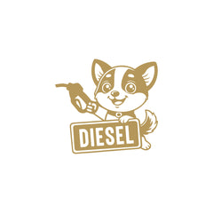 Diesel Tag for Car and Bike Tanks