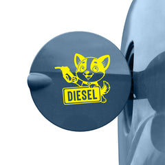 Diesel Tag for Car and Bike Tanks