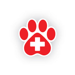 Bold Lettering Doctor on Board Decal