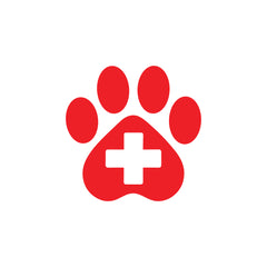 Bold Lettering Doctor on Board Decal