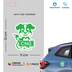 Zaqiz Stickers for Car Fuel Caps – CNG & Petrol Designs