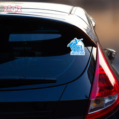 Special Needs Passenger