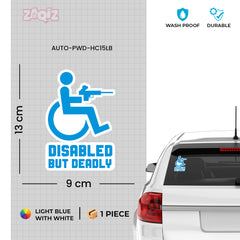Wheelchair User Inside