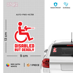 Wheelchair User Inside