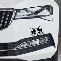 Zaqiz Monster Stickers – Ride with a Wild Look