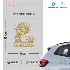Drive Efficiently - Petrol Indicator for Fuel Clarity