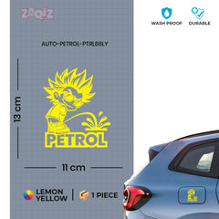 Drive Efficiently - Petrol Indicator for Fuel Clarity