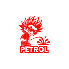 Drive Efficiently - Petrol Indicator for Fuel Clarity