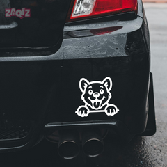 Drive Like a Cat – Chill & Sharp