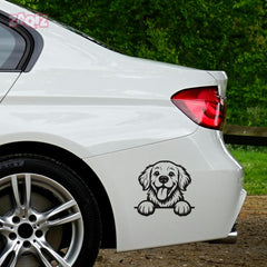 Drive With Awesomeness