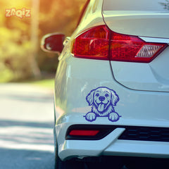 Drive With Awesomeness