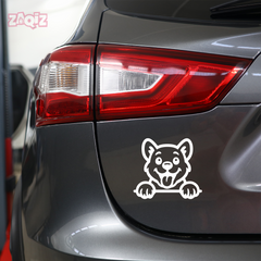 Drive Like a Cat – Chill & Sharp