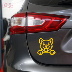 Drive Like a Cat – Chill & Sharp