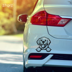 Drive With Awesomeness