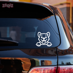 Drive Like a Cat – Chill & Sharp