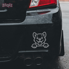 Drive Like a Cat – Chill & Sharp