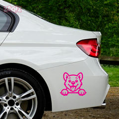 Drive Like a Cat – Chill & Sharp