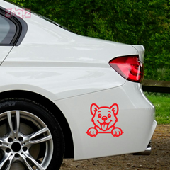 Drive Like a Cat – Chill & Sharp