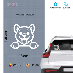 Drive Like a Cat – Chill & Sharp