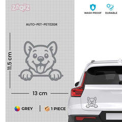 Drive Like a Cat – Chill & Sharp