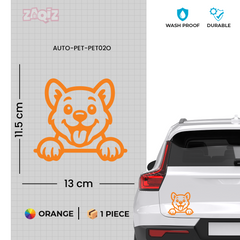 Drive Like a Cat – Chill & Sharp