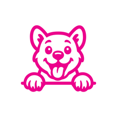 Drive Like a Cat – Chill & Sharp