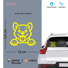 Drive Like a Cat – Chill & Sharp