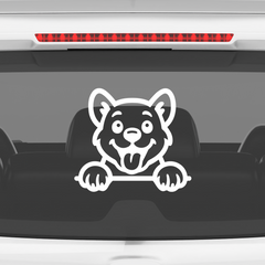 Drive Like a Cat – Chill & Sharp