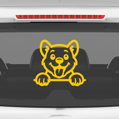 Drive Like a Cat – Chill & Sharp