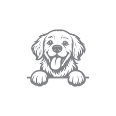 Drive With Awesomeness