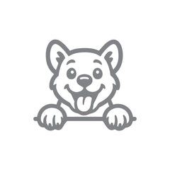 Drive Like a Cat – Chill & Sharp