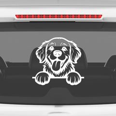 Drive With Awesomeness