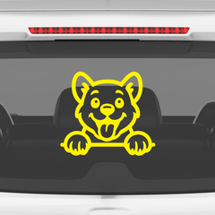 Drive Like a Cat – Chill & Sharp