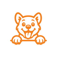 Drive Like a Cat – Chill & Sharp