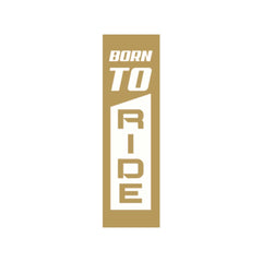 Born to Ride, Destined to Conquer Every Road bumper sticker