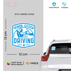 Seasoned Driver On Board