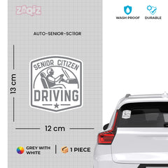 Seasoned Driver On Board